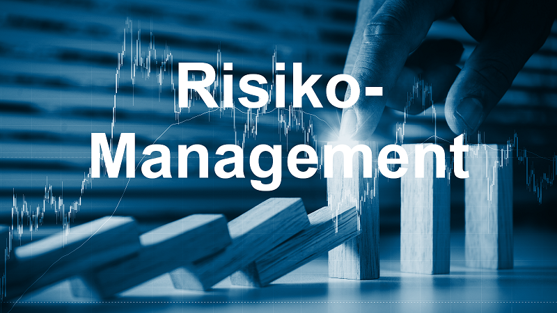Risikomanagement Videokurs